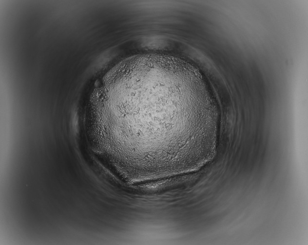 X0000094380734200711162130