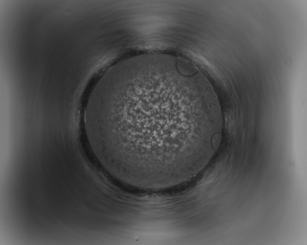 X0000094380735200711162130