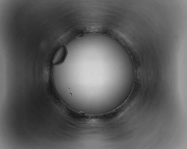 X0000094380741200711162130