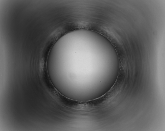 X0000094380744200711162130