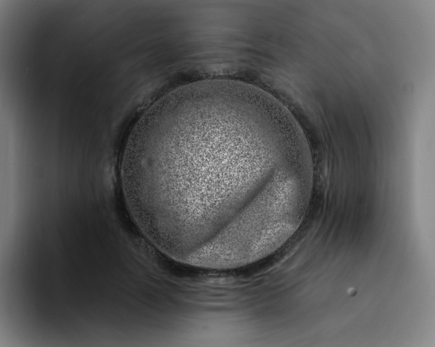 X0000094380746200711162130
