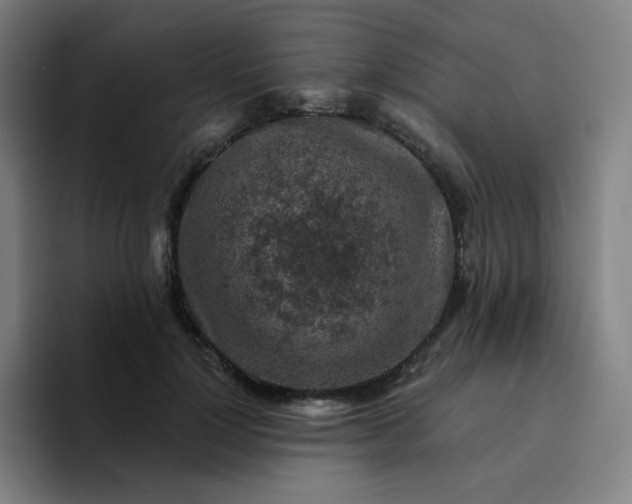 X0000094380748200711162130