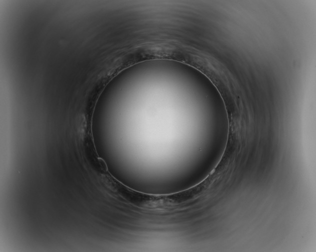 X0000094380752200711162130
