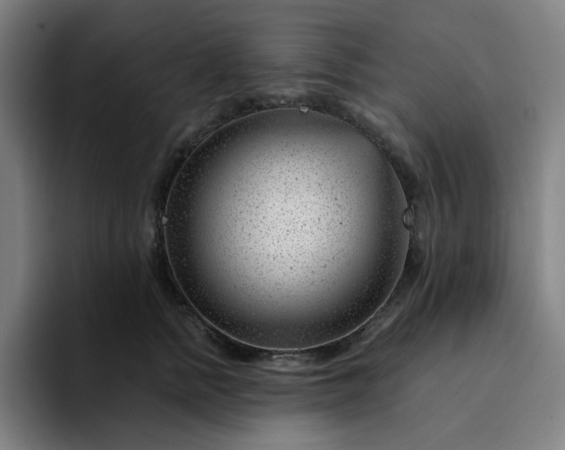 X0000094380758200711162130