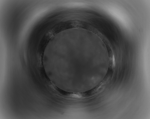 X0000094380765200711162130