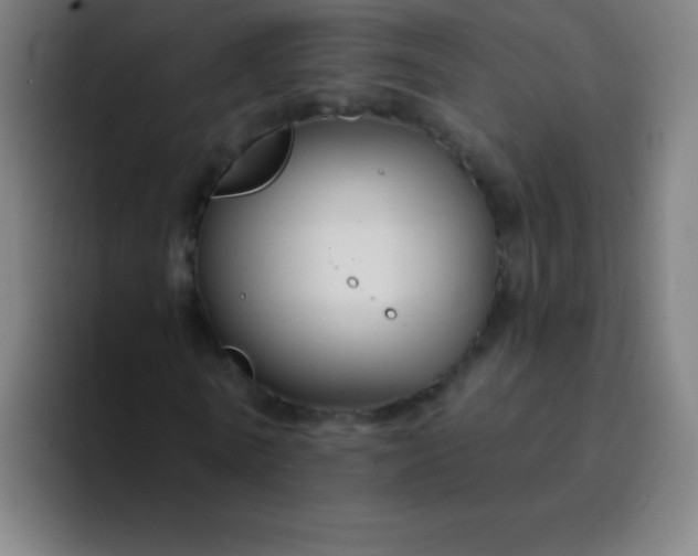 X0000094380770200711162130