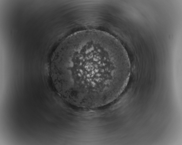 X0000094380772200711162130