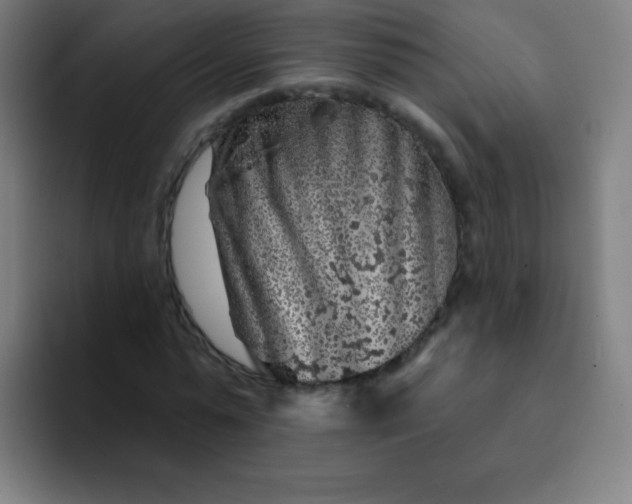 X0000094380775200711162130