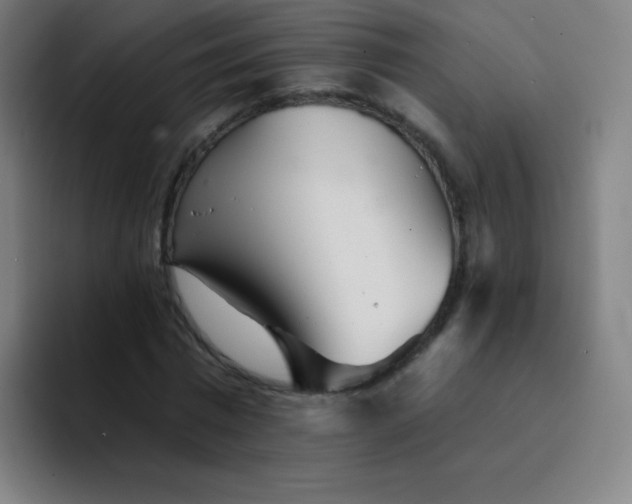 X0000094380777200711162130