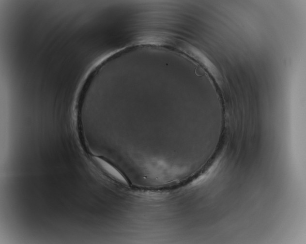X0000094380779200711162130