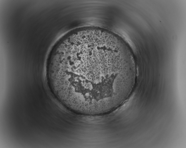 X0000094380780200711162130