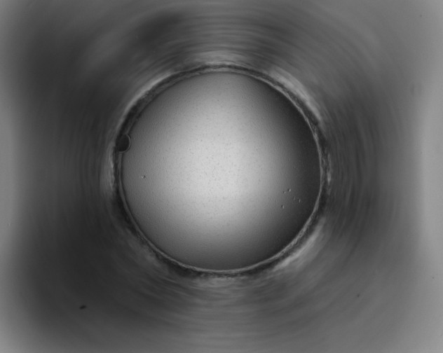 X0000094380782200711162130