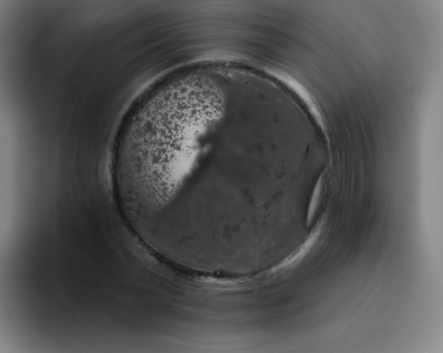 X0000094380783200711162130