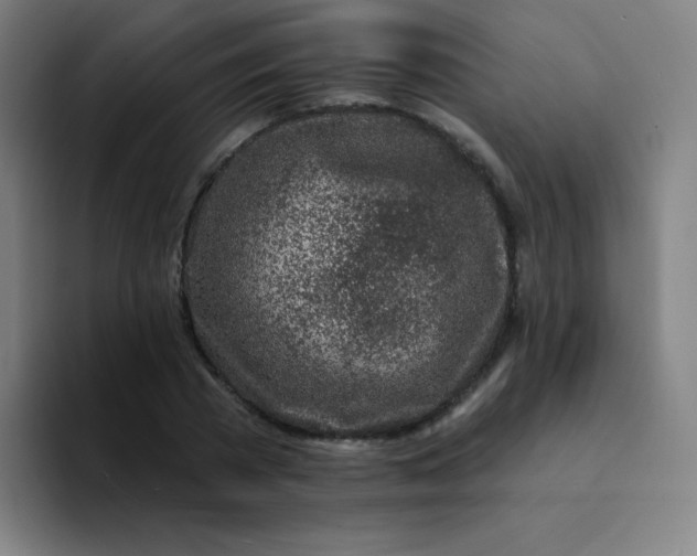 X0000094380785200711162130