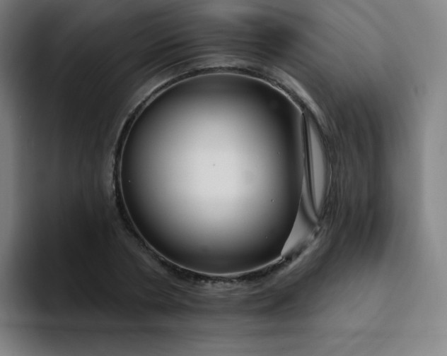 X0000094380786200711162130