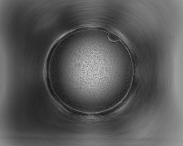X0000094380787200711162130