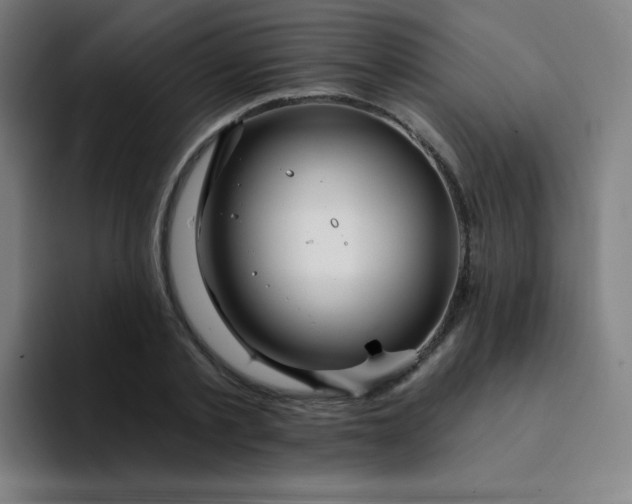X0000094380789200711162130