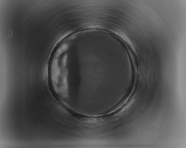 X0000094380790200711162130