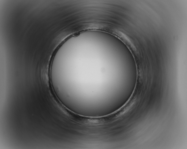 X0000094380794200711162130