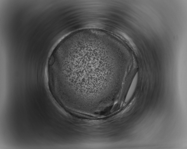 X0000094380796200711162129