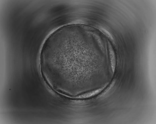 X0000094380800200711162129