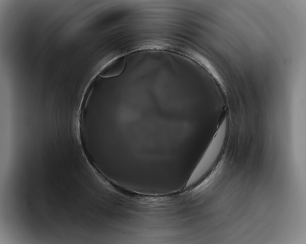 X0000094380802200711162129