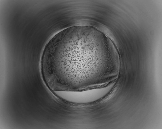 X0000094380803200711162129