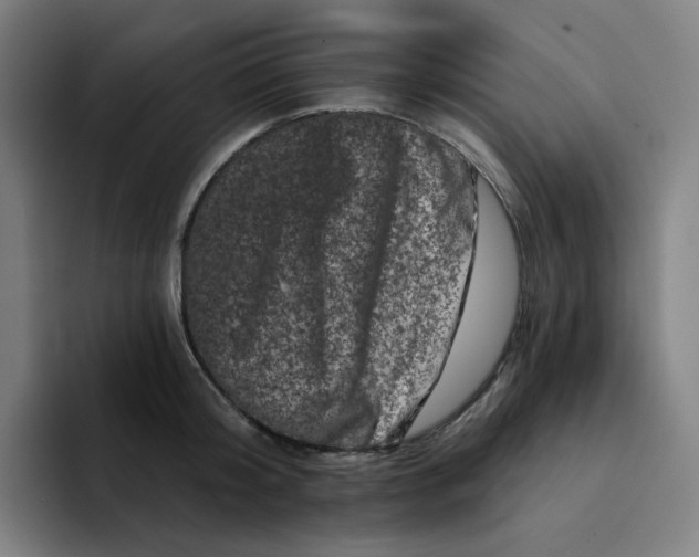 X0000094380804200711162129