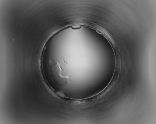 X0000094380805200711162129
