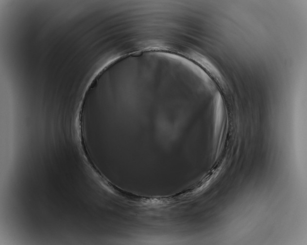 X0000094380806200711162129