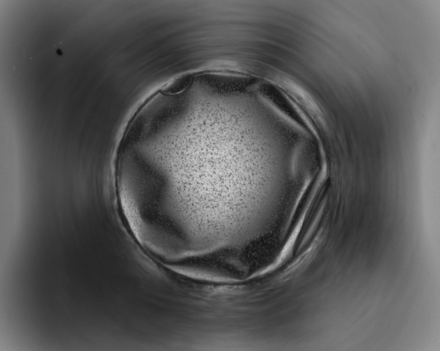 X0000094380808200711162129