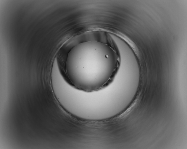 X0000094380809200711162129
