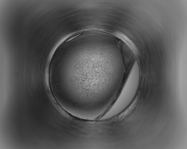 X0000094380812200711162129