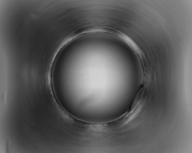 X0000094380813200711162129