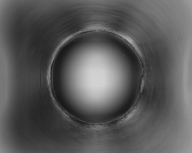 X0000094380815200711162129