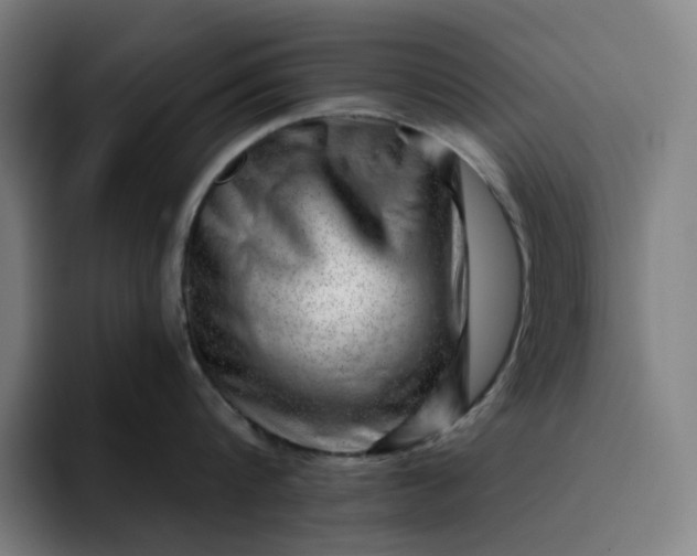 X0000094380816200711162129