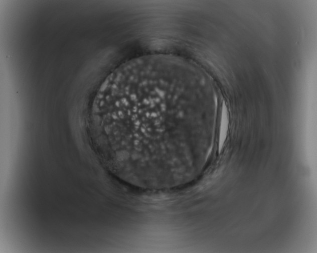 X0000094380817200711162129