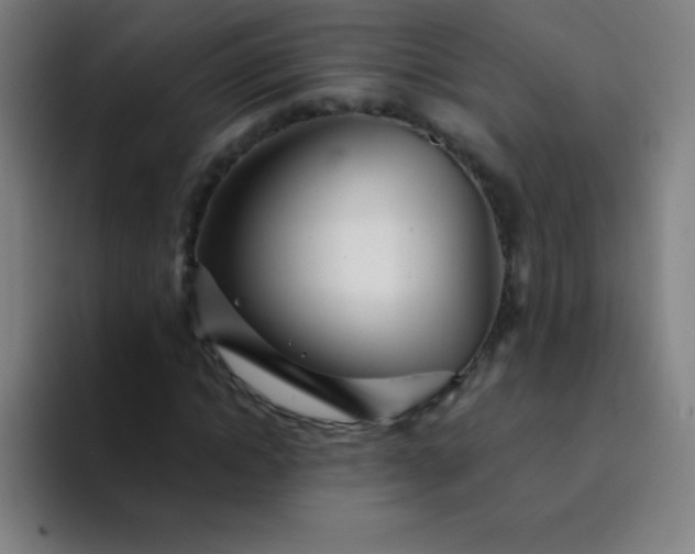 X0000094380822200711162129