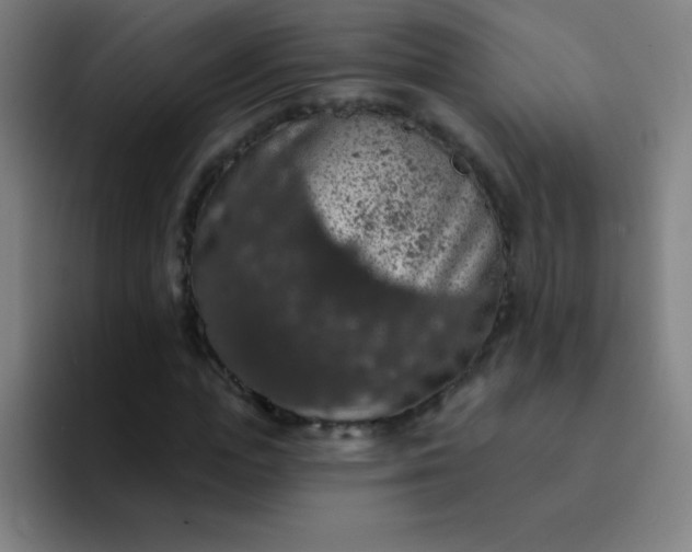 X0000094380823200711162129