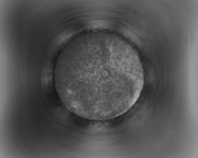 X0000094380824200711162129