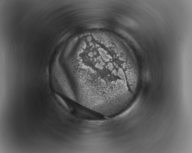X0000094380825200711162129