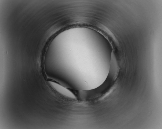 X0000094380826200711162129