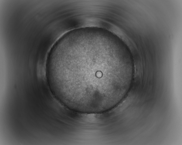 X0000094380828200711162129