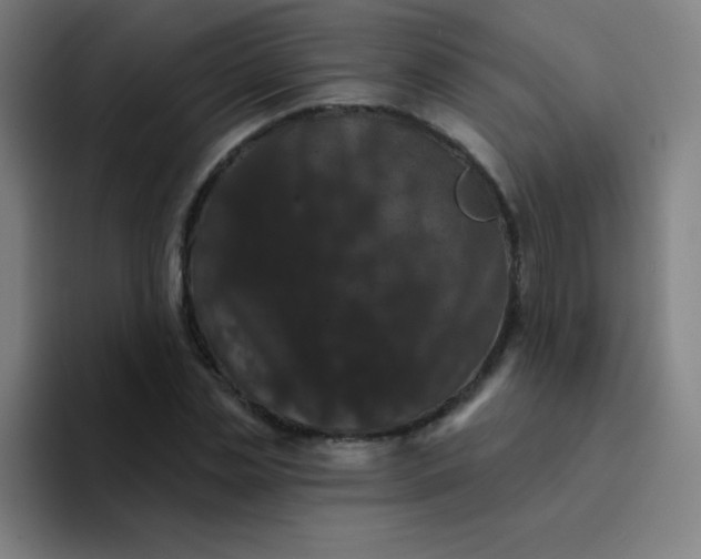 X0000094380829200711162129