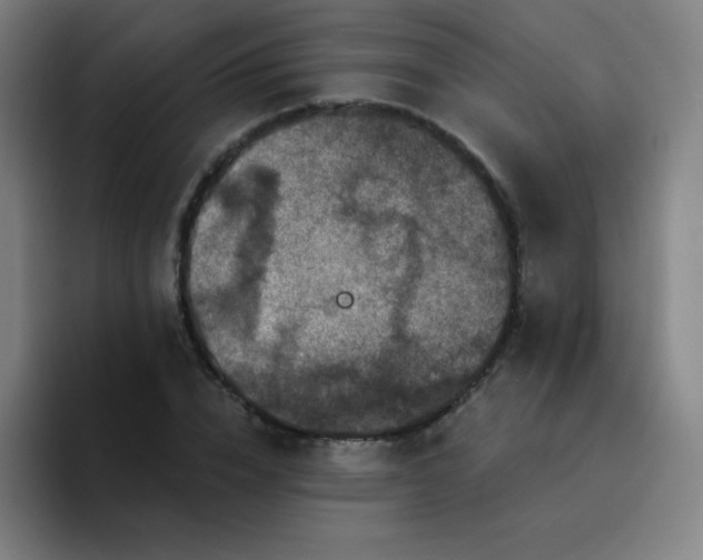 X0000094380832200711162129