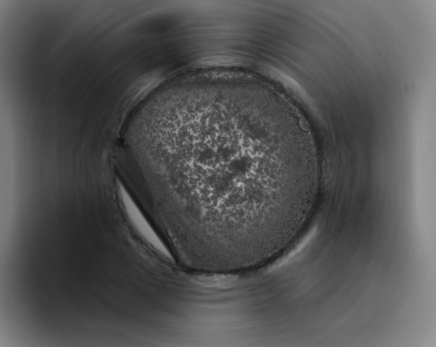 X0000094380833200711162129