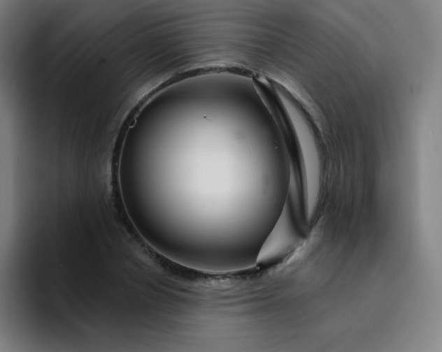 X0000094380834200711162129