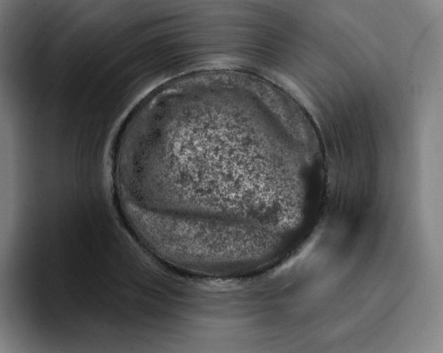 X0000094380835200711162129