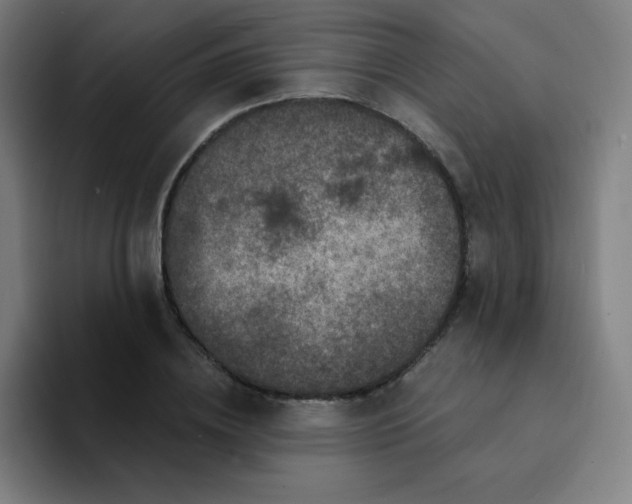 X0000094380836200711162129
