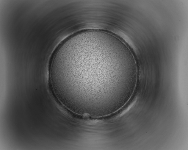 X0000094380837200711162129